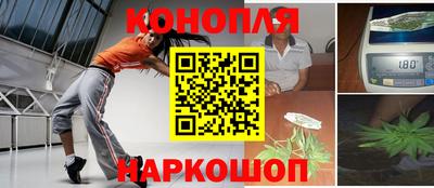гашик Гусь-Хрустальный