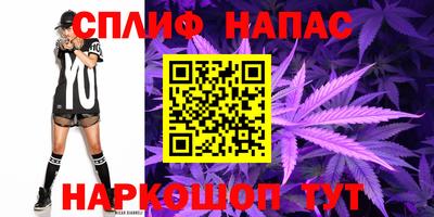 стафф Гусев