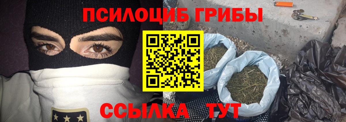 Калач-на-Дону  Псилоцибиновые грибы Psilocybe  Вход с VPN 